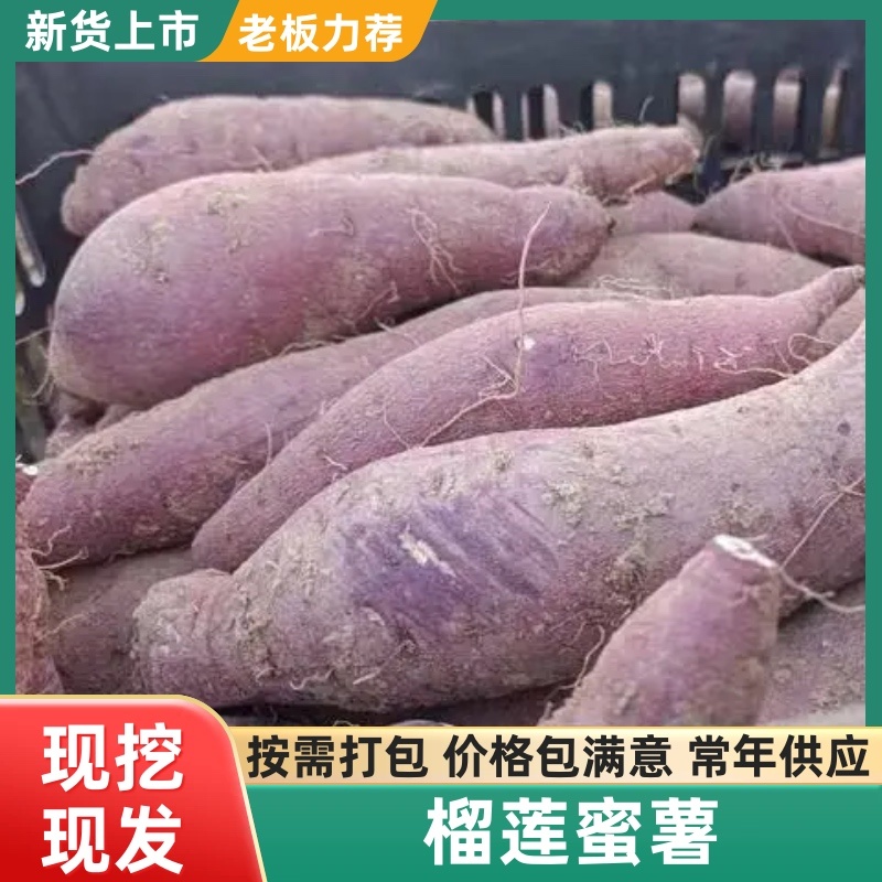 河北红薯丝滑红瑶榴莲蜜薯，红薯中的天花板