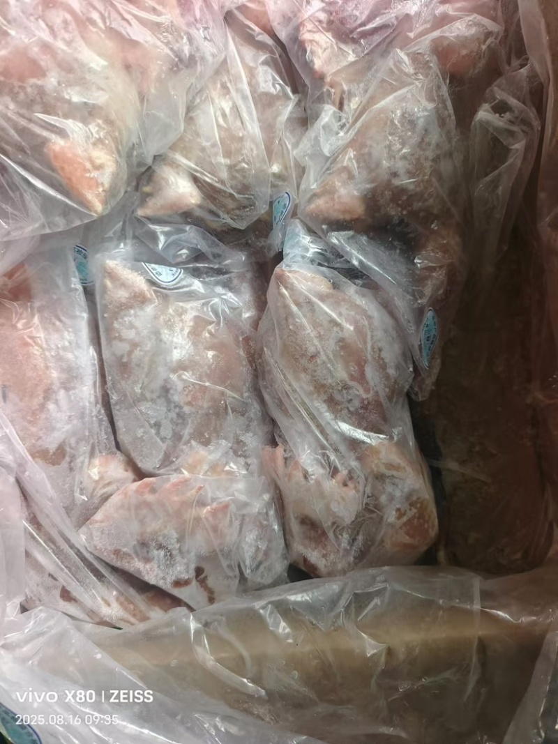 散养6个月土鸡