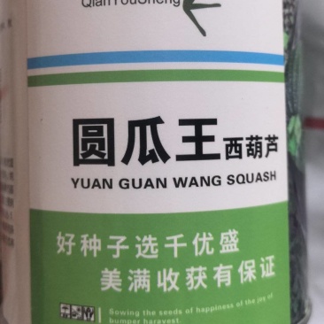 圆西葫芦种子圆瓜王亮绿色细花纹瓜码密亮度好抗病毒