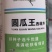 圆西葫芦种子圆瓜王亮绿色细花纹瓜码密亮度好抗病毒