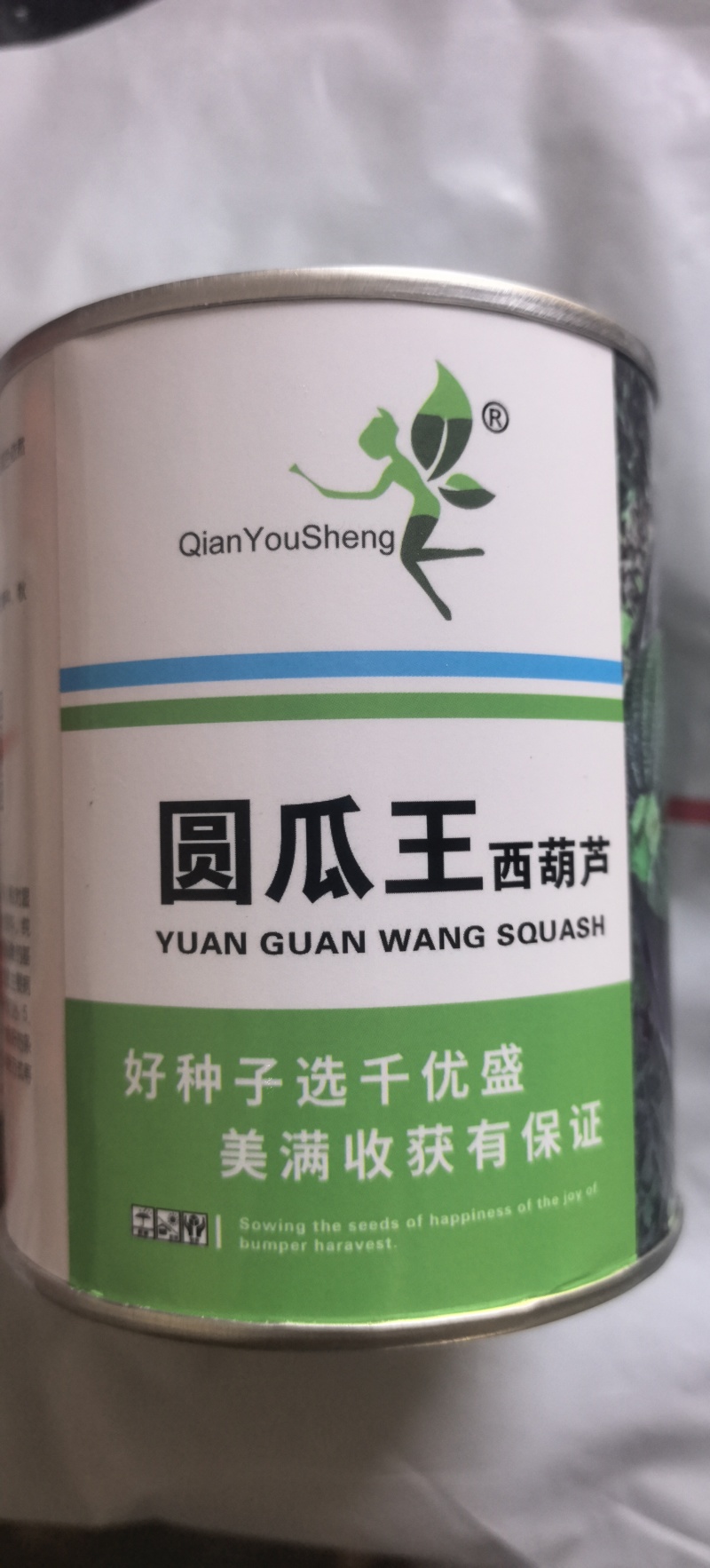 圆西葫芦种子圆瓜王亮绿色细花纹瓜码密亮度好抗病毒