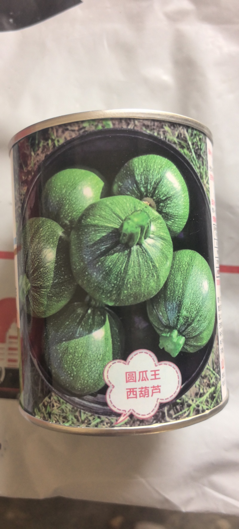 圆西葫芦种子圆瓜王亮绿色细花纹瓜码密亮度好抗病毒