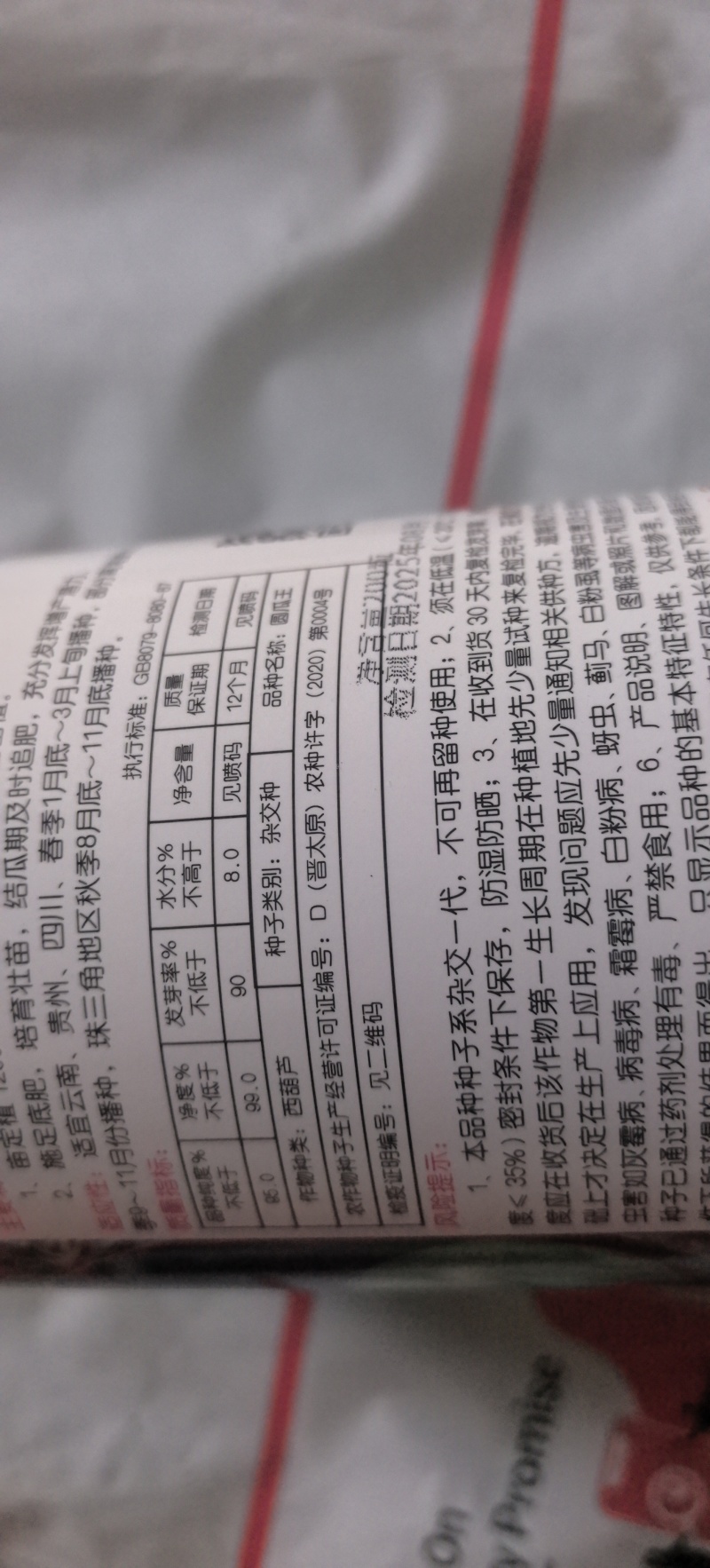 圆西葫芦种子圆瓜王亮绿色细花纹瓜码密亮度好抗病毒