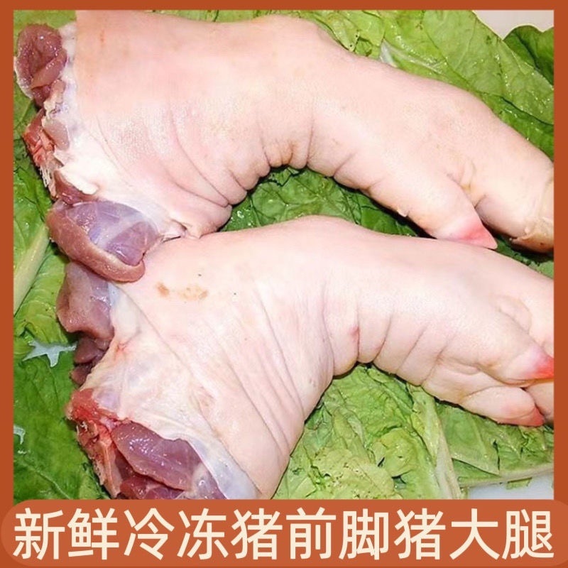 猪肘子猪腿猪蹄膀