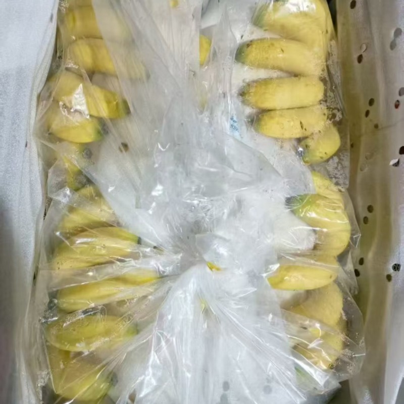 大批量供应二级香蕉只要35块