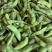 新鲜毛豆带壳营养多汁毛豆长期有货正品保障