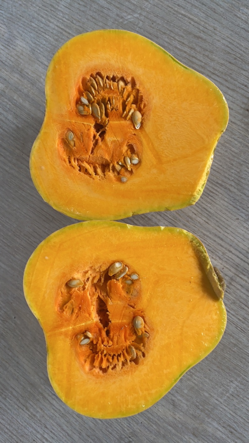 拉飞南瓜