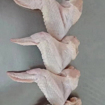 一级鸡全翅