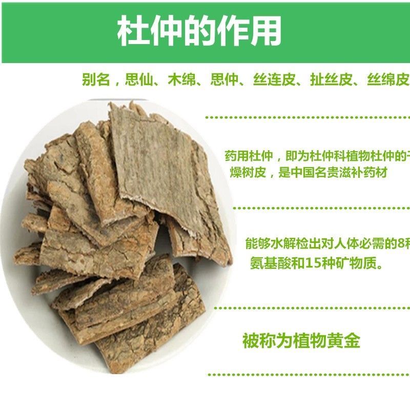 杜仲苗木本中药材南北方均适宜栽植包技术包邮
