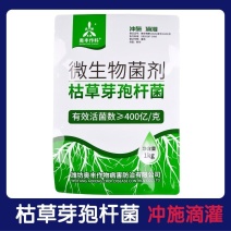奥丰枯草芽孢杆菌生根壮苗改良土壤抗重茬防病蔬菜中药材菌肥