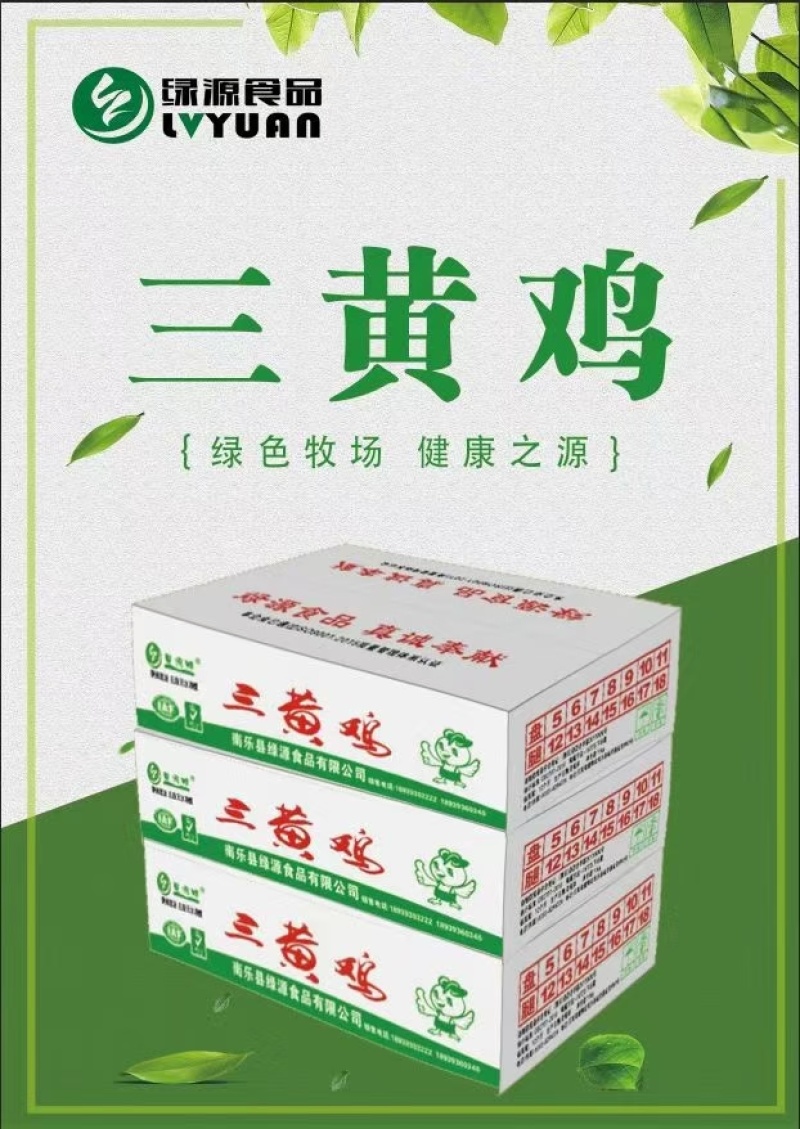 冻品三黄鸡，厂家直销电话***********