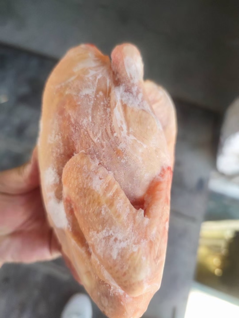 冻品三黄鸡，厂家直销电话***********