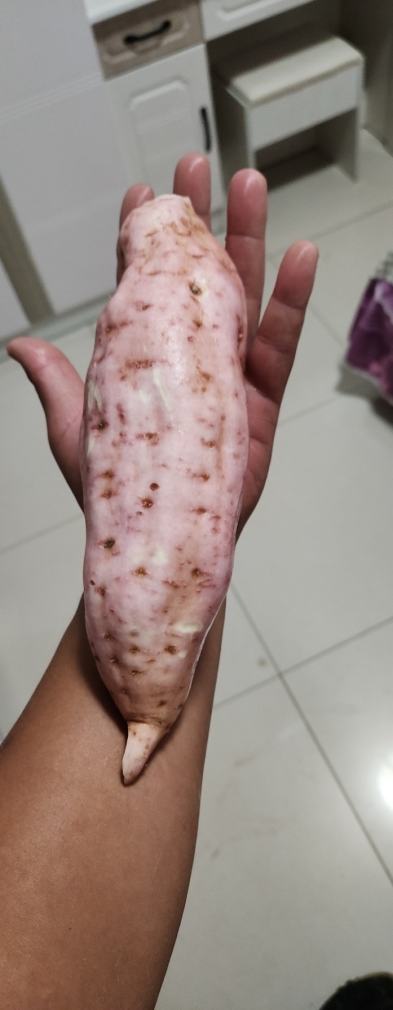 红薯