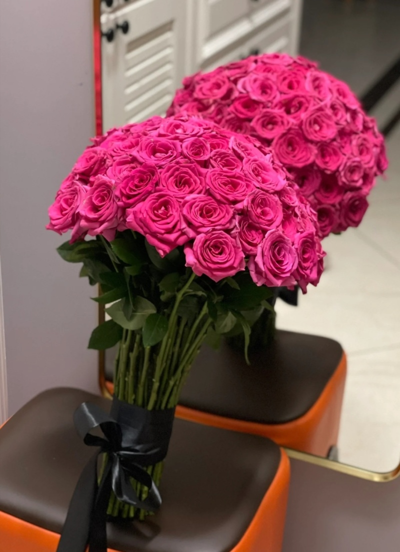 弗洛伊德袋苗观赏大花月季可用于园林工程绿化花束盆栽