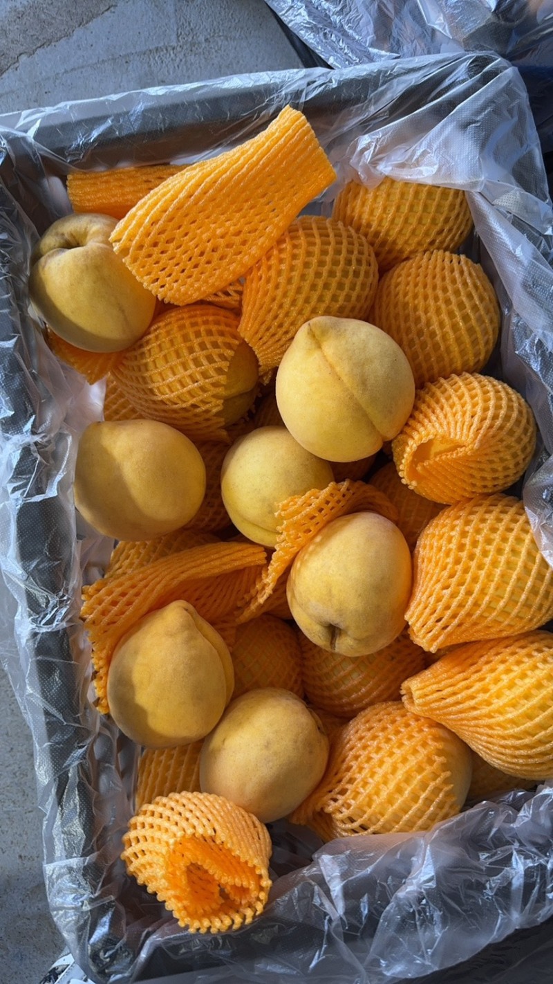 黄桃锦绣