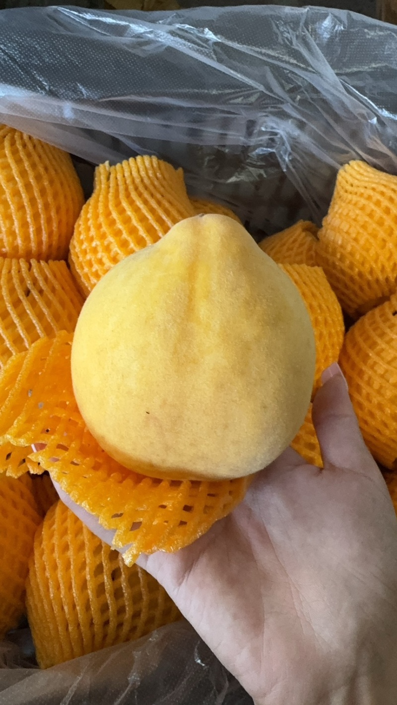 黄桃锦绣