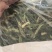 干辣椒片，青