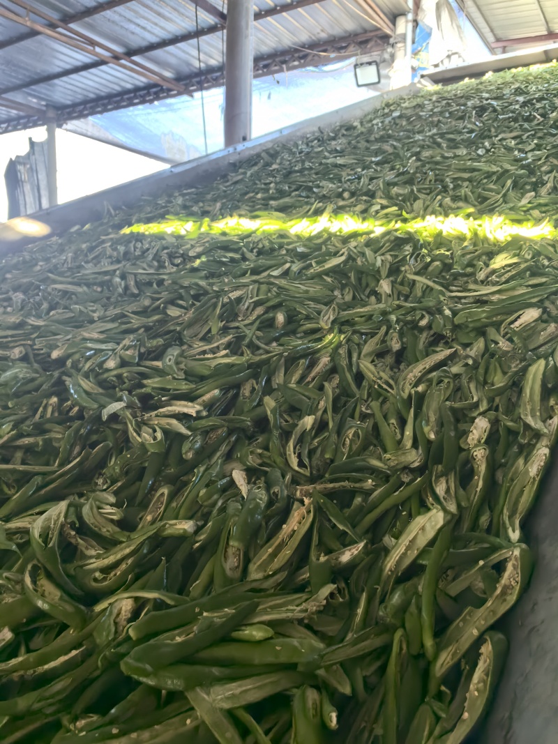 干辣椒片，青