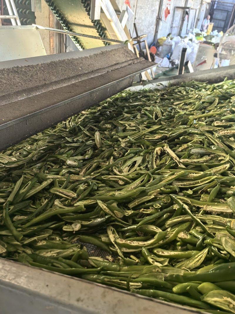 干辣椒片，青