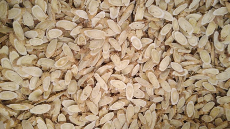 甘肃产地黄芪指甲片规格1.2m-1.5m精品货，量大从优