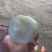 黄金梨