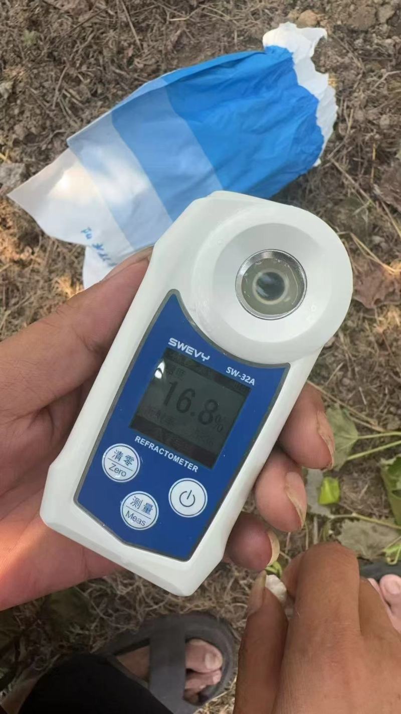 安徽阜阳阳光玫瑰葡萄欢迎您的来电