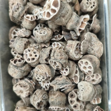 藕节