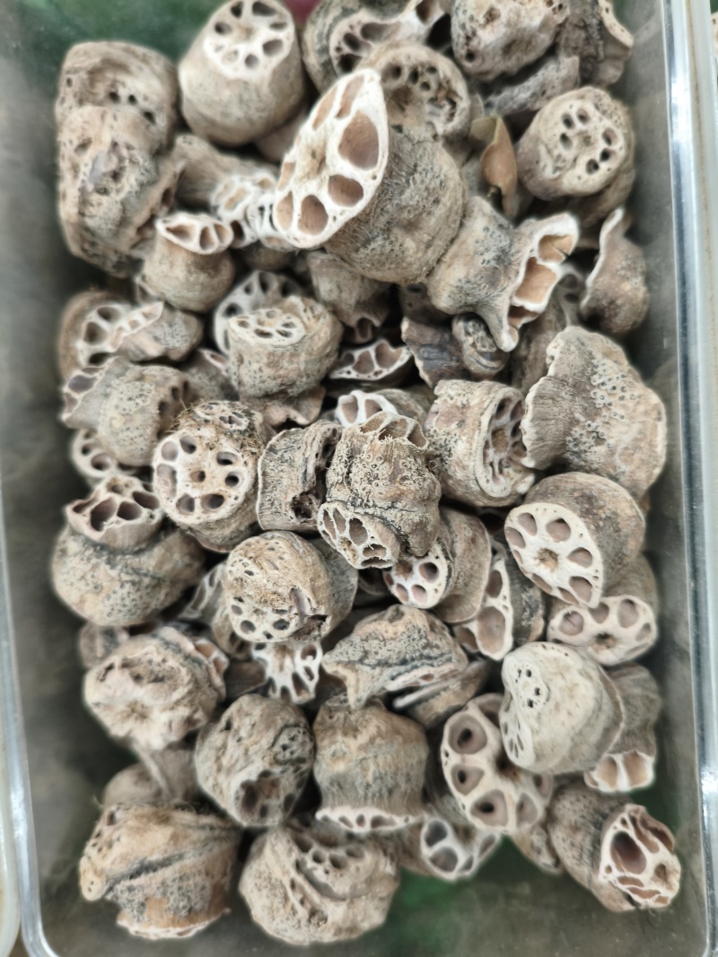 藕节