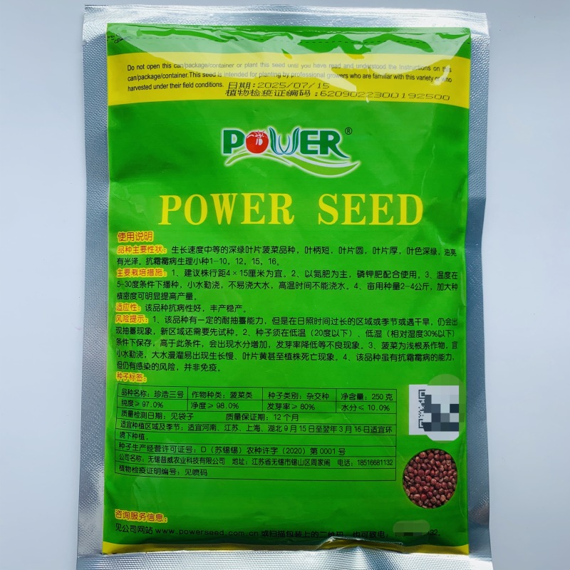 珍浩三号菠菜种子笨菠菜种子油亮趴地菠菜种子抗病小菠菜种籽