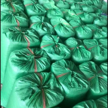 出售玉米青储