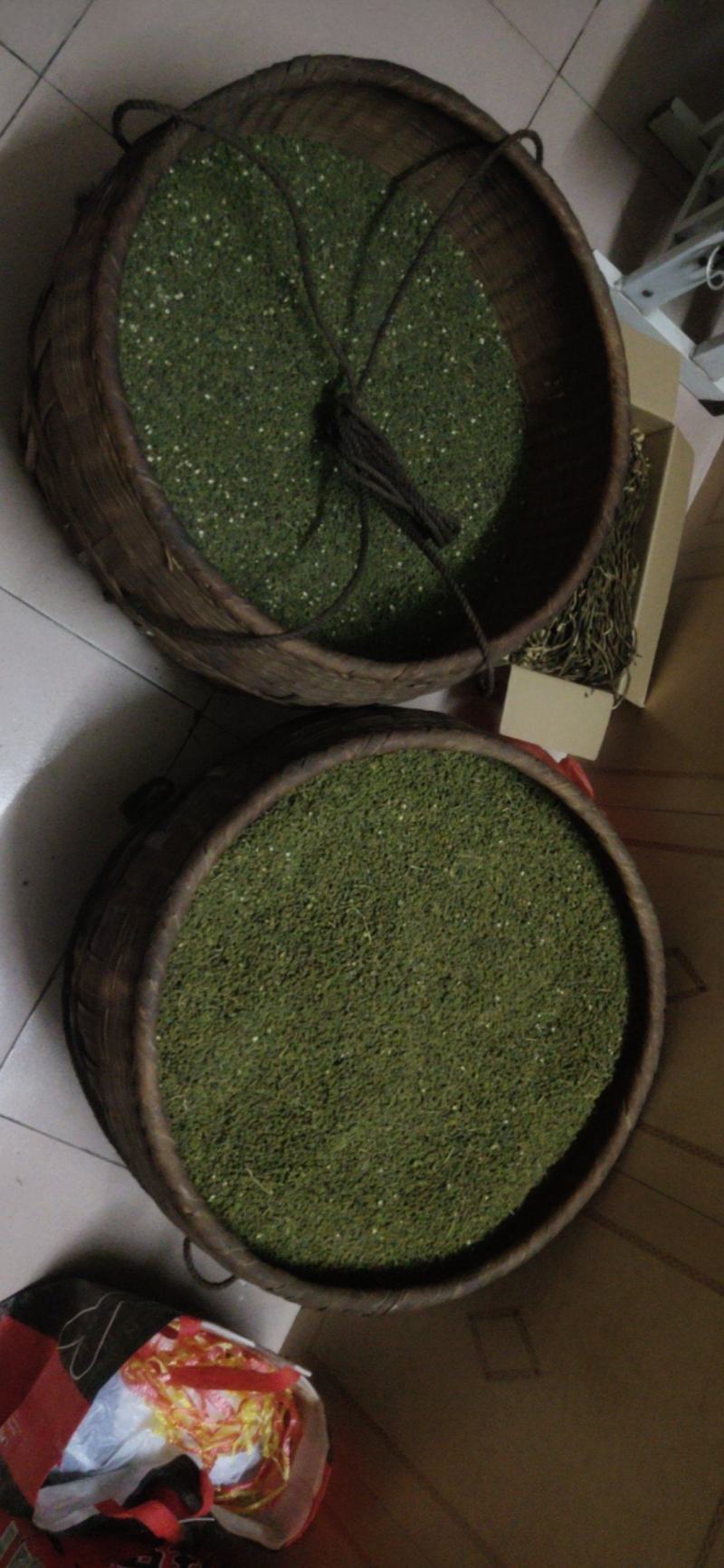 吴茱萸