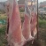 宁夏盐池的正宗山羊肉肉质细腻可口没有膻味