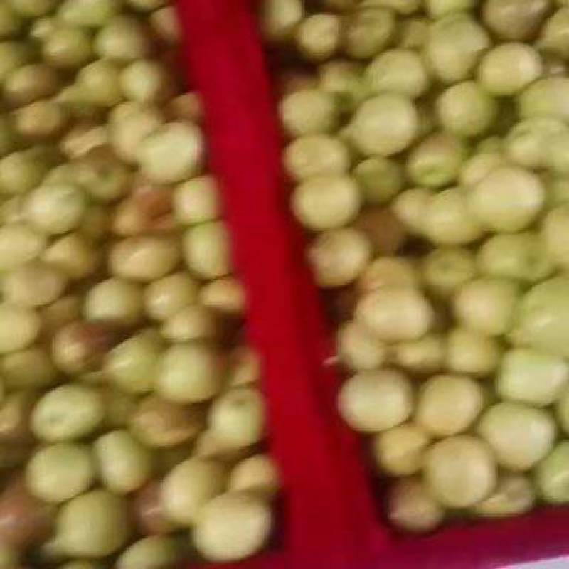 大荔冬枣，皮薄，脆甜可口，