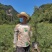 80公分营养杯樟子松，60公分起步樟子松