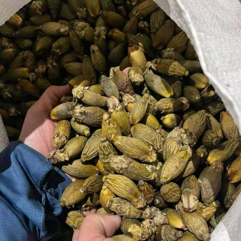 越南干槟榔