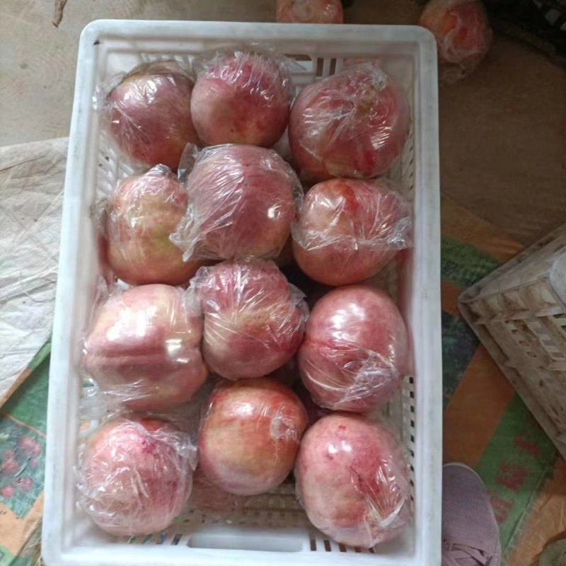 超越桃子
