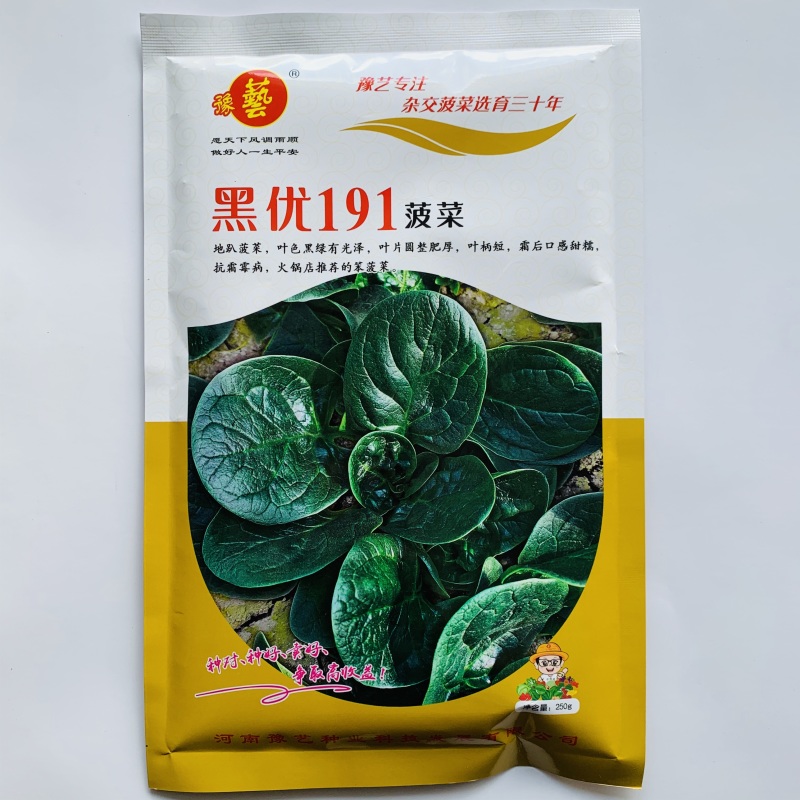 豫艺黑优191菠菜种子黑油亮圆叶趴地菠菜种籽耐寒地趴菠菜