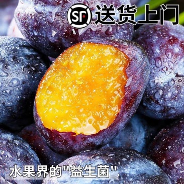 新疆西梅顺风彩箱礼盒装电商一件代发达人高佣分销全平台