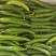 大椒