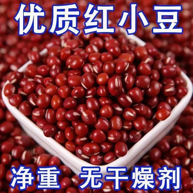 珍珠粒红小豆散装批发零售量大优惠