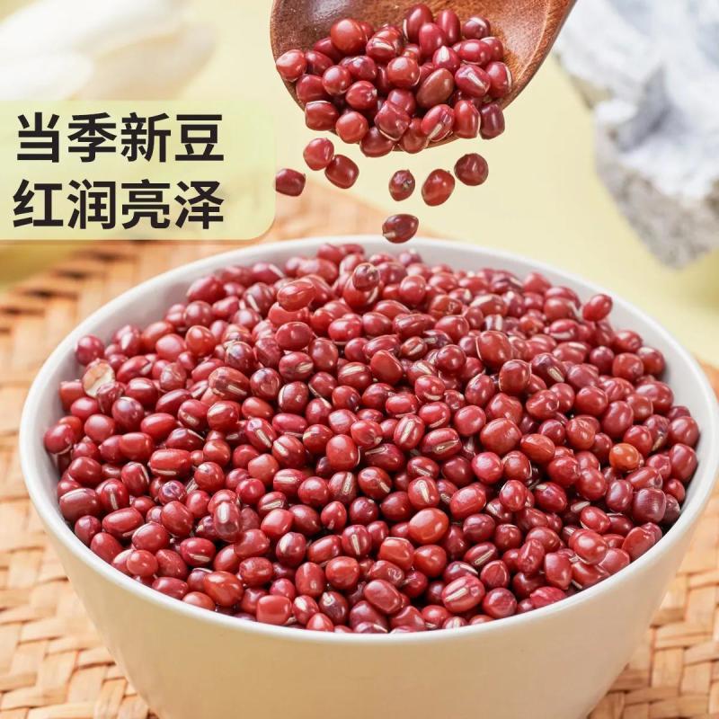 珍珠粒红小豆散装批发零售量大优惠