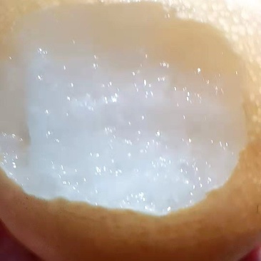 丰水梨
