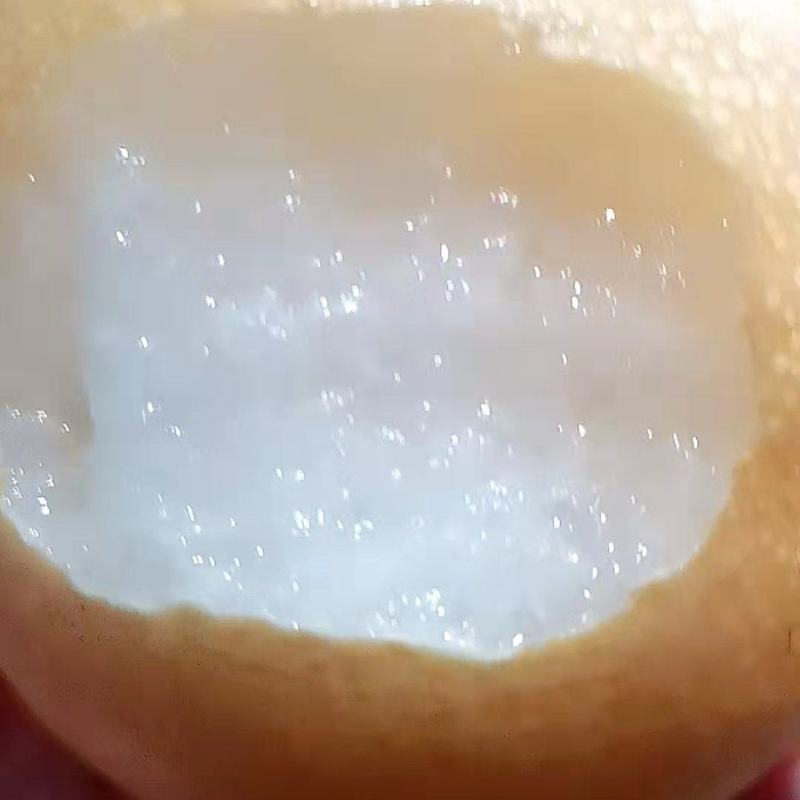 丰水梨