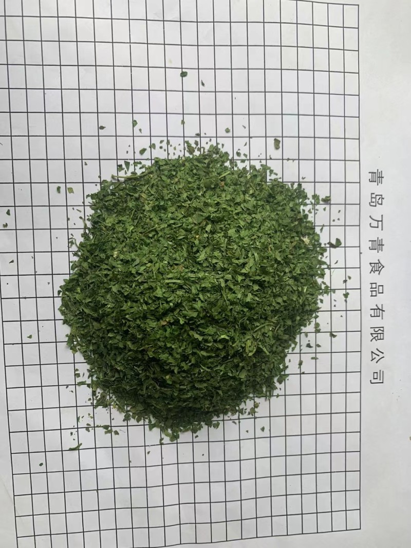 欧芹法香全年稳定供应鲜品干品