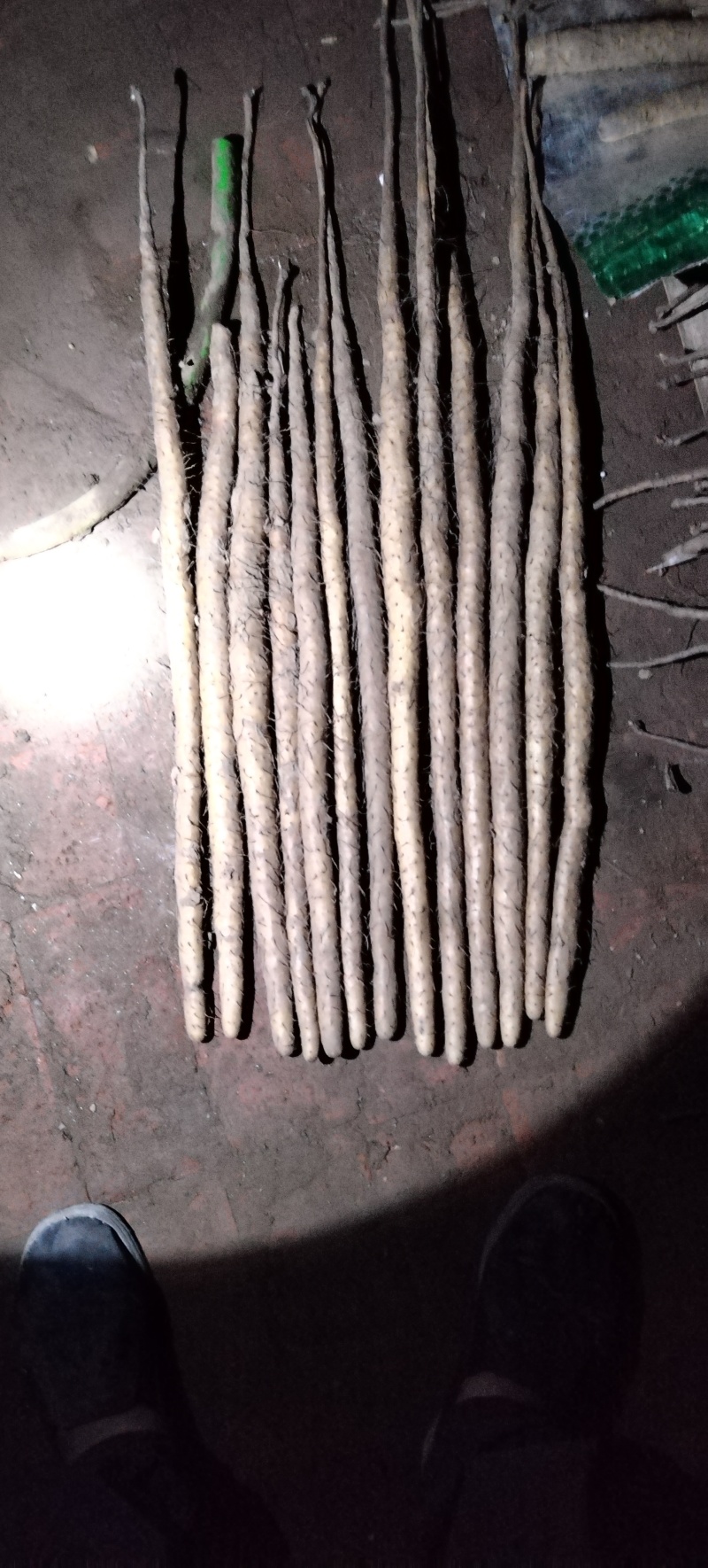 小白嘴山药大货
