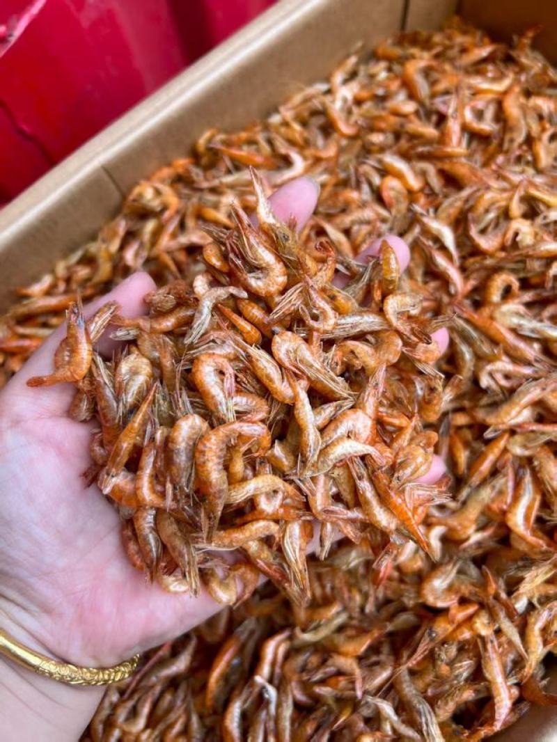 无盐烘干河虾干净卫生货源稳定长期有货，充足