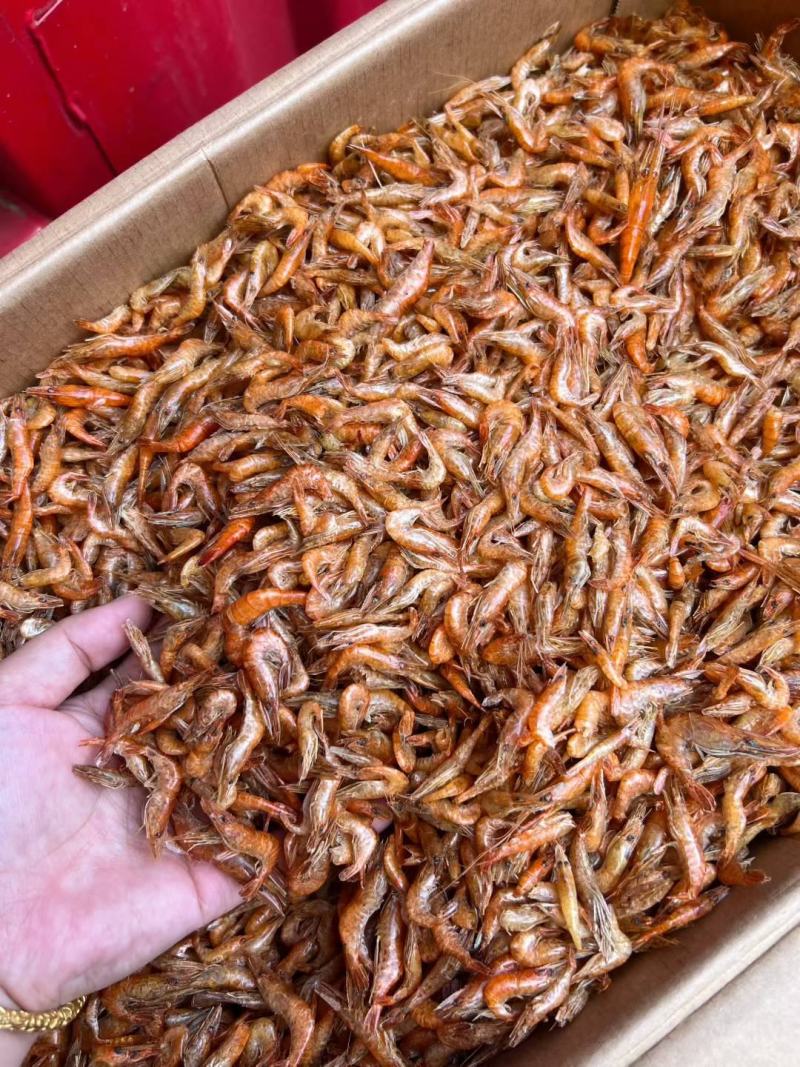 无盐烘干河虾干净卫生货源稳定长期有货，充足