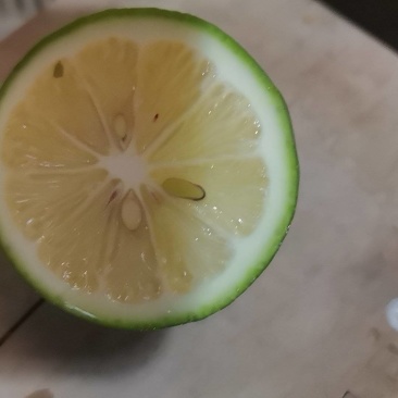 北京青柠檬榨汁果切片，加工果