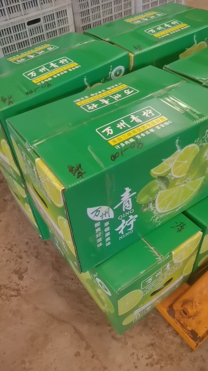 北京青柠檬榨汁果切片，加工果