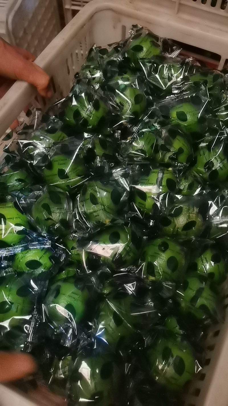 北京青柠檬榨汁果切片，加工果